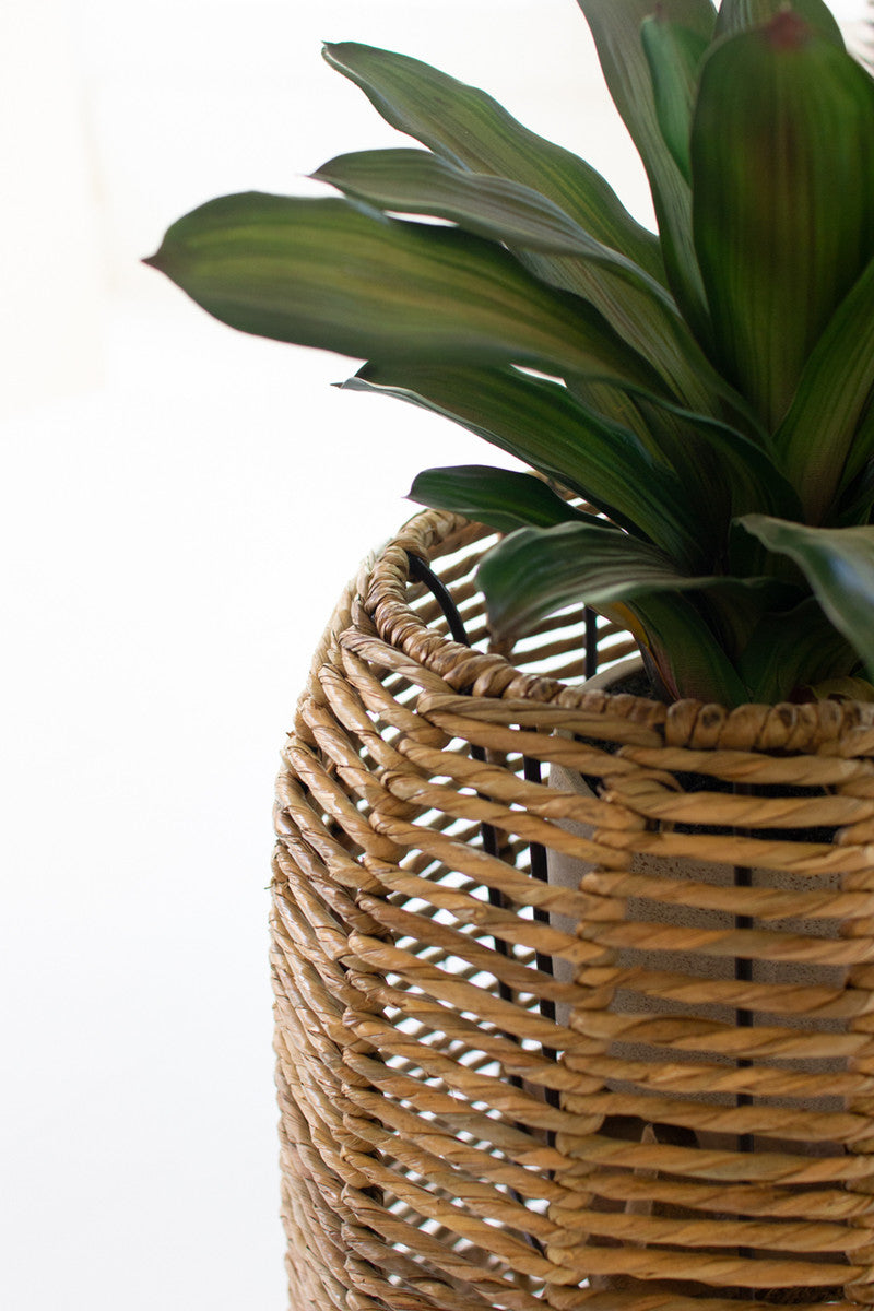 Woven Seagrass Tall Barrel Planter Stand set of 2 Home Decoration | Plant Lover Gifts - Design Club Home
