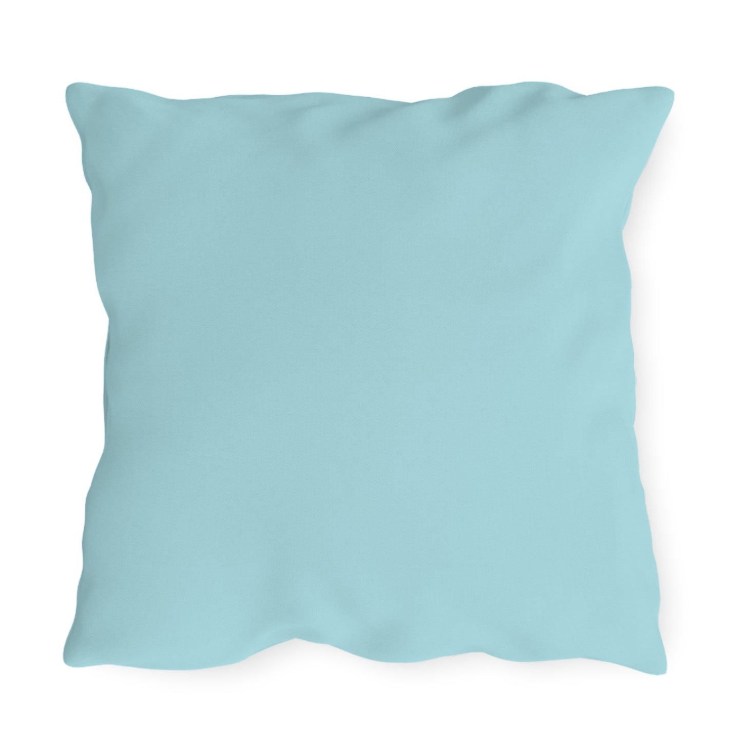 Blue Dragonfly Indoor/Outdoor Pillow