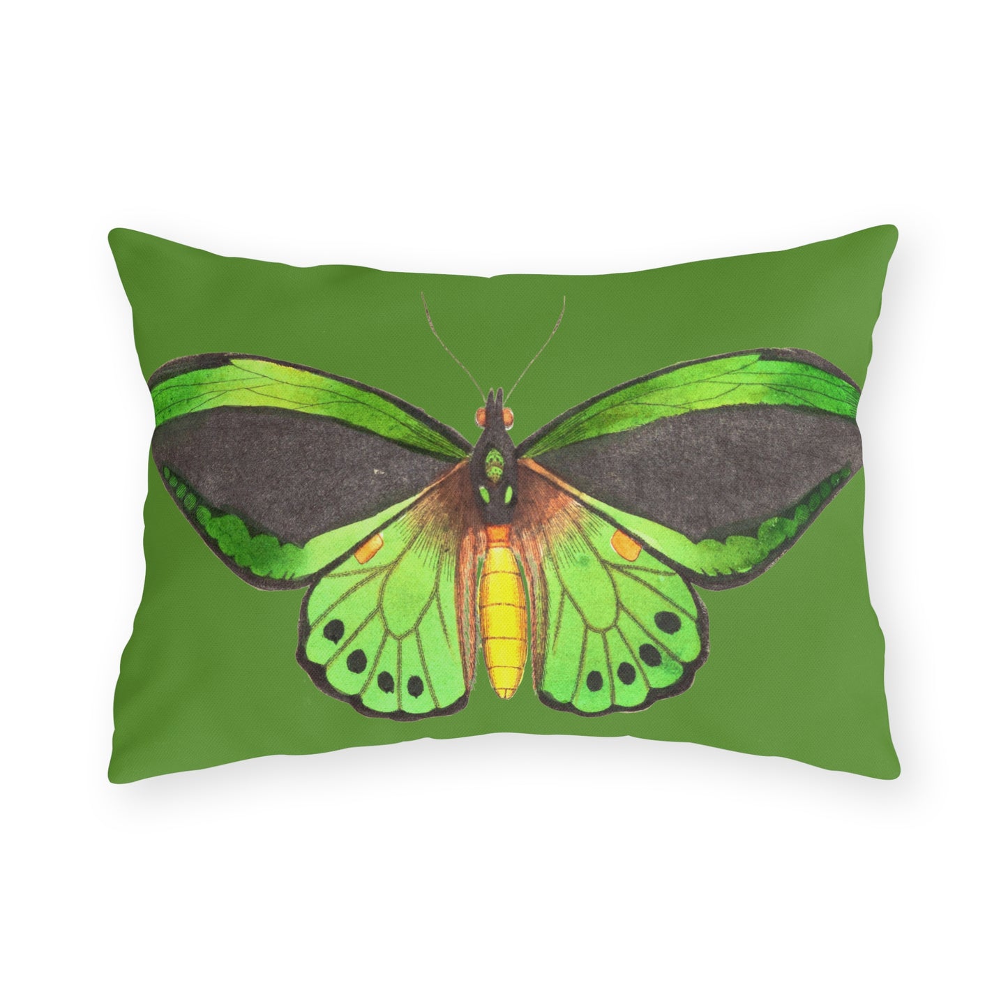 Green Butterfly Indoor Outdoor Outdoor Pillow