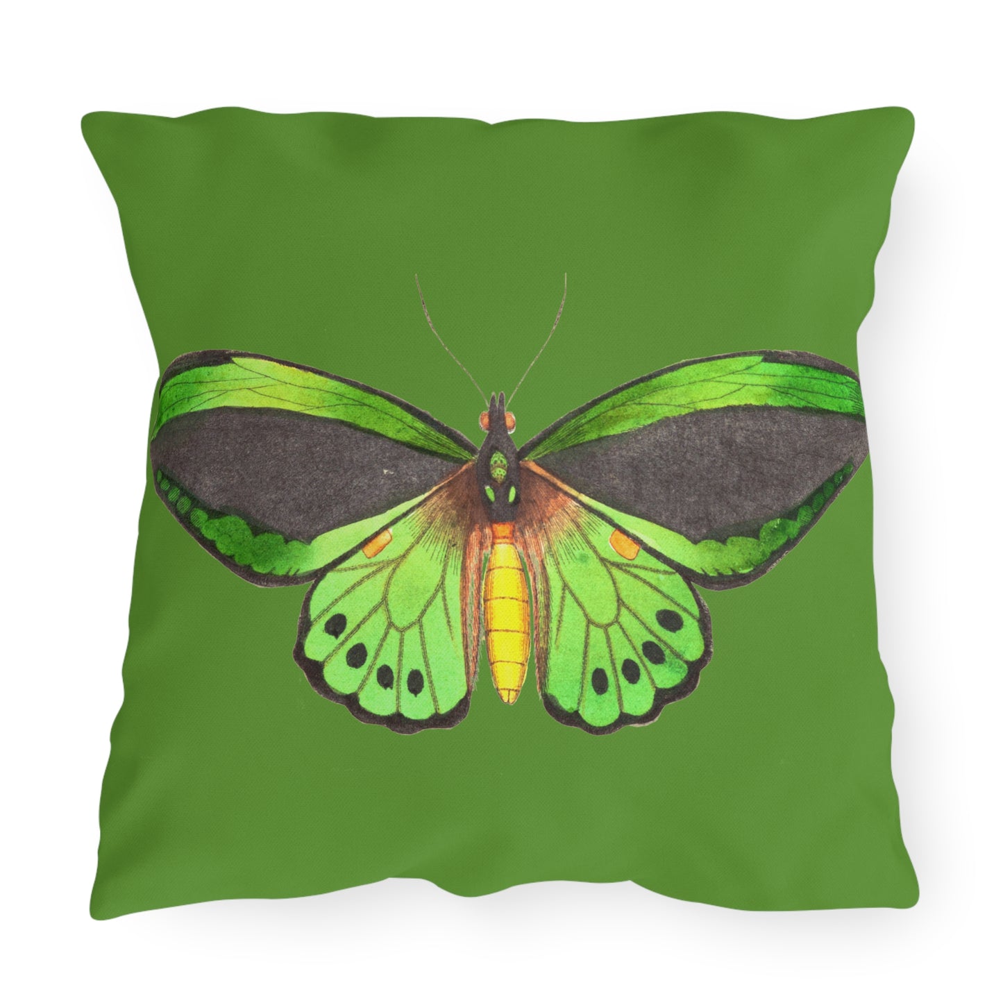 Green Butterfly Indoor Outdoor Outdoor Pillow