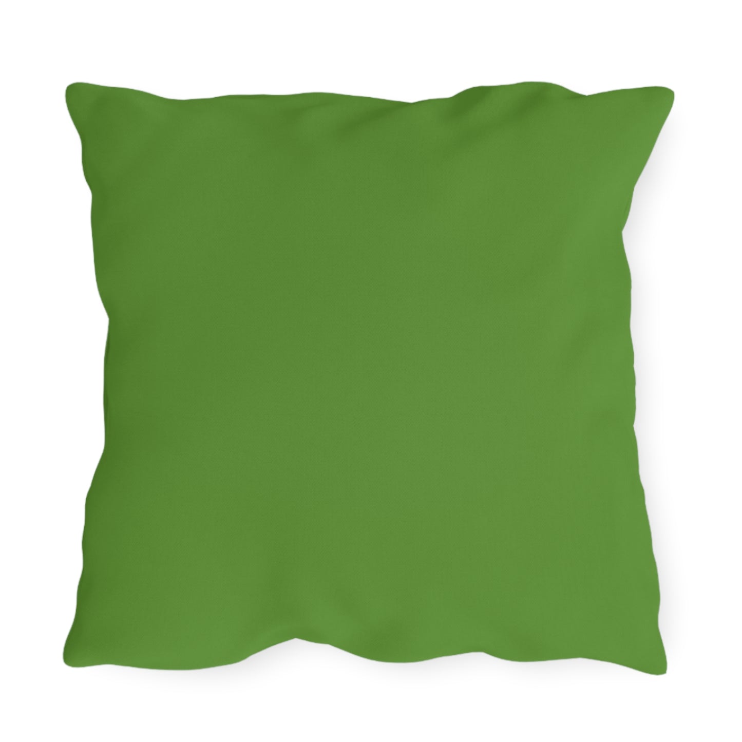 Green Butterfly Indoor Outdoor Outdoor Pillow