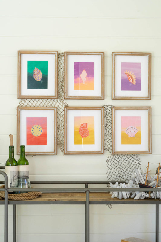 framed sea shells wall art - set of 6 - Design Club Home
