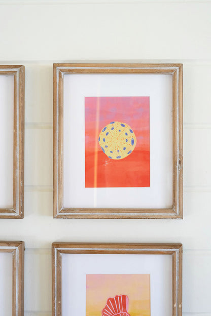 framed sea shells wall art - set of 6 - Design Club Home