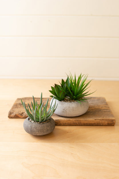 faux plants in concrete pot | Artificial Succulents | Faux Succulent | Fake Succulents | Home Decor - Design Club Home