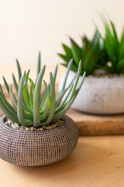 faux plants in concrete pot | Artificial Succulents | Faux Succulent | Fake Succulents | Home Decor - Design Club Home